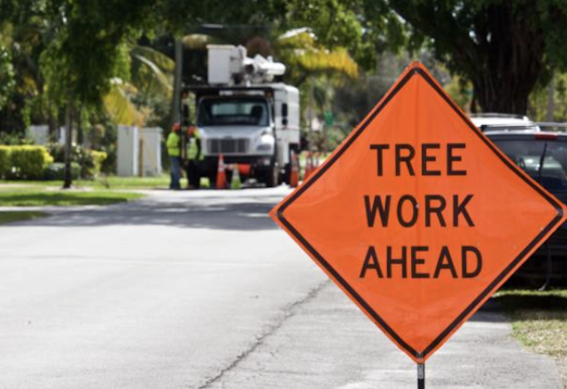 emergency tree removal delaware