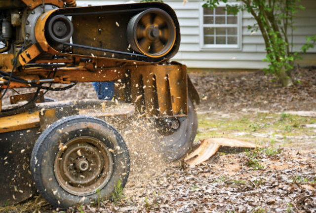 stump grinding pa